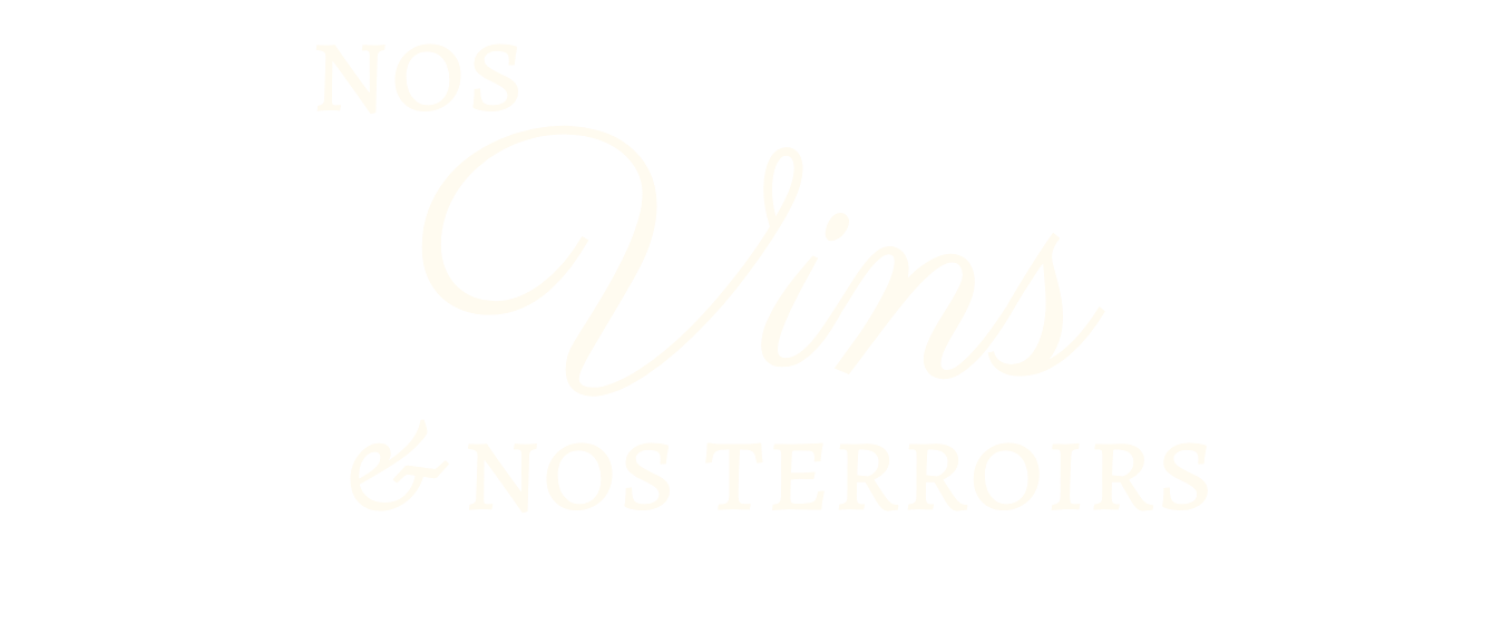Nos vins et nos terroirs — Maison Mâconnaise des Vins