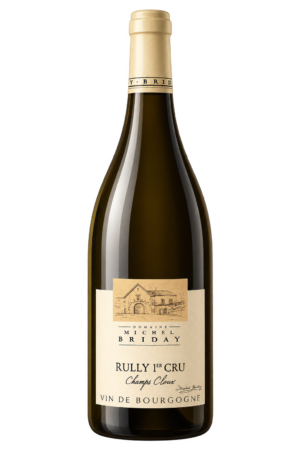 Bouteille 75 cl de Rully 1er Cru « Champs Cloux », Domaine Michel Briday